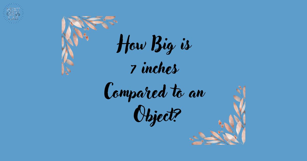 How Big is 7 Inches Compared to an Object